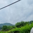 멍멍아 여기어때 이미지