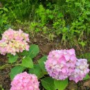 호수풍경속으로 이미지