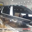 카스토어 이미지