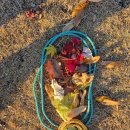 김해좋은이웃지역아동센터 이미지