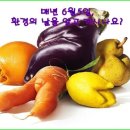 금수강산환경 이미지