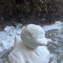 (주)금남고속 | Jan. 2주차