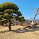 울산개인택시 제1충전소 | 울산 울주군 정토마을 자재병원 방문상담 갔다 온 후기 2026년