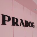 프라독 쿡 이미지