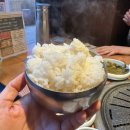 덕양제2주유소 | 덕양구 도래울 맛집 포천돼지에서 뒷고기 모듬 제대로 먹고 온 후기