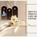 신장례문화협회 이미지