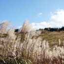 황매산장대 이미지