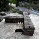 볼수록제주
