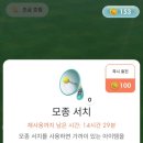 카에이드 이미지