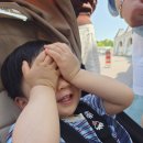 ㈜동행행복주유소 | 에버랜드 로스트밸리 스페셜투어 가격, 예약, 시간, 후기- 25개월 조카랑 고모랑 함께한 스페셜데이