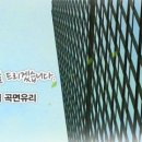 돔하우스 이미지