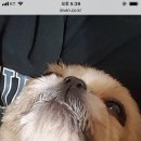 자연인PC방 이미지