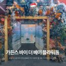 싱가포르 가든스바이더베이 플라워돔 입장권 볼거리 계절별 전시 즐기는 방법