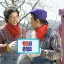 크리미데이지