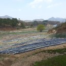 소중농장 이미지