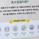 더쉼;효소원 이미지
