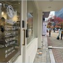 메종드센텀 | 광안리 / 대연동 부산먼치킨분양, 해운대고양이분양은 '메종 드 네코 센텀본점'