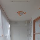 금강페인트 이미지