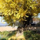 송림공원 건너 이미지