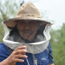 설악산승혜네벌꿀 이미지