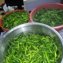 장주식농장 이미지