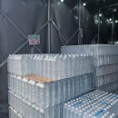 판다팜둔포 | 화성 디데이 산타 아웃렛 아산에서 직접 구경하러 가본 후기
