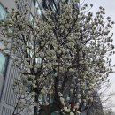 기차마을아파트 이미지