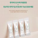 비타스프링