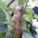 나주호농장 이미지