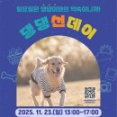 피크닉댕댕 이트레블뉴스