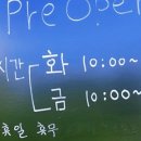 양구동물병원