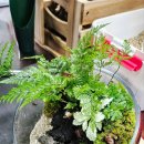 아쿠아플랜트디자인 이미지