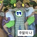 [일상] 26년 5월 2주차