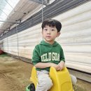 시립한울사랑어린이집 | [오산탑동태권도 마루초태권도] 세교한울태권도 딸기농장 주말체험학습