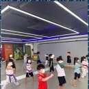 XPL 태권도 | 안양태권도 우리 아이의 첫 운동 친구, 경희대XPL태권도 후기