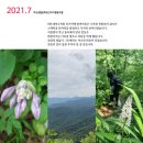 생활꽃공간