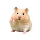 플라워디앤디