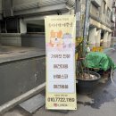 뷰티나개 예쁜냥 이미지