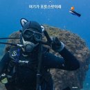 이어도로 | 제주액티비티 체험다이빙 범섬 보트다이빙 후기 더퍼플 스쿠버다이빙