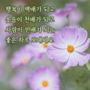 마음의 웃음꽃 바구니 이미지
