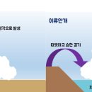 해양선박 행정사무소 이미지