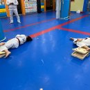 한국체대 호림태권도장 이미지