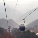 공단카프라자 이미지