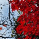 조안농장 이미지