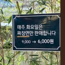 GS25태화강정원점 | [울산] 울산 태화동 맛집 깔끔하고 맛있는 중식당 ‘뱀부하우스’