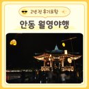 낙동강변7 | 안동 월영야행 2026일정 2년 전 월영교에 다녀온 후기를 포함해서