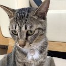 복자여중고 이미지