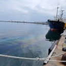 울진후포수산업협동조합 이미지