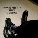 270-2553 | 풋조이 프로 이슬 카본 보아 골프화 롯데백화점 구매 후기