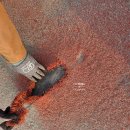 수도시설관리사업소 | [작업사례]구례수도사업소 인조잔디 유지관리 — 이끼 제거 및 규사 보충을 통한 브러싱 진행